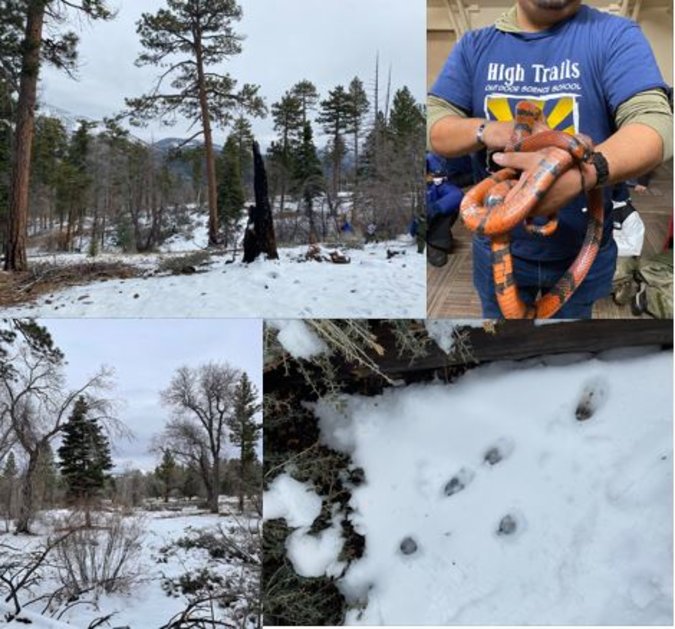 Wed, 2024, Outdoor Ed, Mosaic